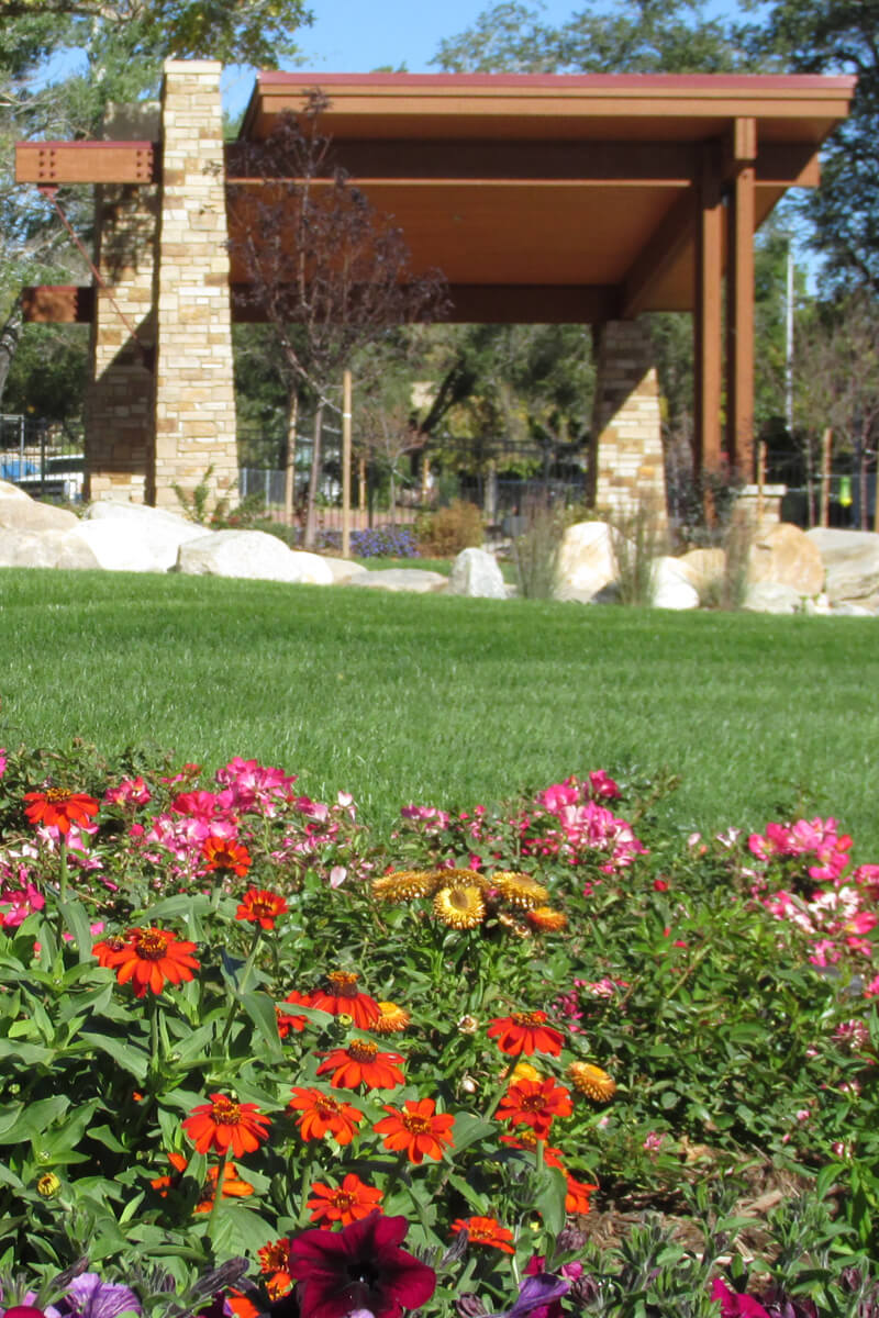 home-content-bg-01